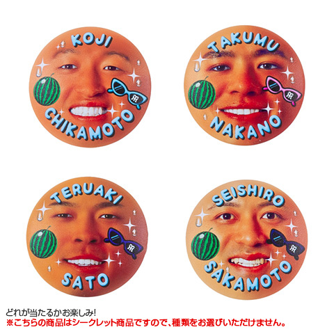 全12種）シークレットぷにぷに日焼け缶バッジ - 阪神タイガース公式