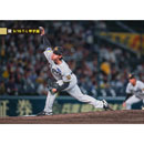 49 工藤泰成 - 阪神タイガース公式オンラインショップ T-SHOP