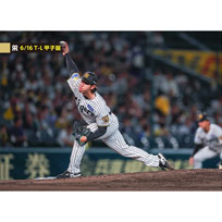 ブロマイド 6/16 T-L No.2　49工藤