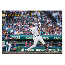 ブロマイド 6/23 T-S No.2　32濱田
