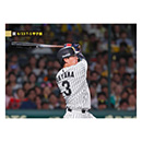 ブロマイド 6/23 T-S No.4　3大山