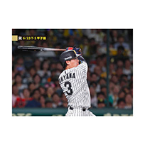 ブロマイド 6/23 T-S No.4　3大山