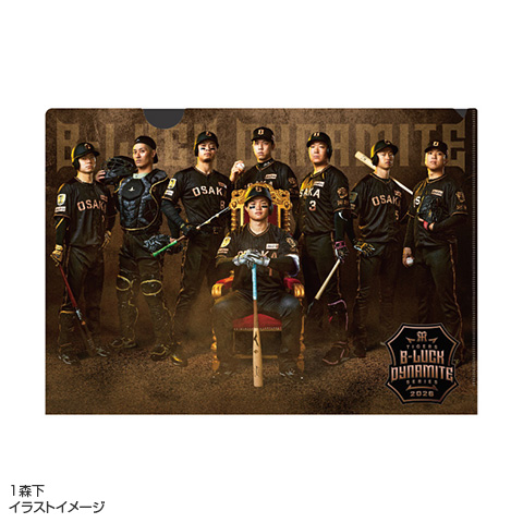TBDS キービジュアル クリアファイル - 阪神タイガース公式オンライン