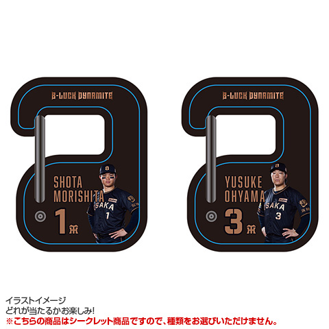 全8種）TBDS シークレットカラビナ - 阪神タイガース公式オンライン