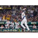 ブロマイド 6/30 T-D No.4　1森下