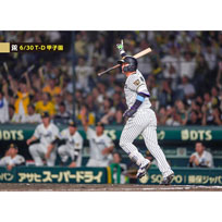 ブロマイド 6/30 T-D No.4　1森下