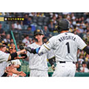 ブロマイド 7/2 T-D No.3　7中野