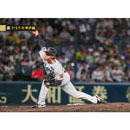 ブロマイド 7/2 T-D No.5　49工藤