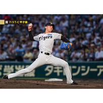 ブロマイド 7/3 T-C No.2　28今朝丸