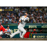 ブロマイド 7/3 T-C No.3　58前川