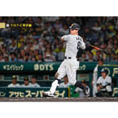ブロマイド 7/5 T-C No.3　8佐藤（輝明）