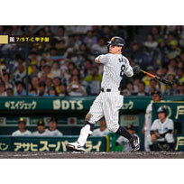 ブロマイド 7/5 T-C No.3　8佐藤（輝明）