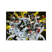 【SALE】2025選手集合ブランケット