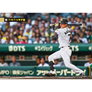 ブロマイド 7/10 T-S No.2　7中野