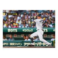 ブロマイド 7/10 T-S No.2　7中野