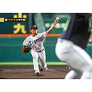 ブロマイド 7/11 T-S No.1　27伊藤（将司）