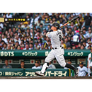 ブロマイド 7/11 T-S No.2　8佐藤（輝明）