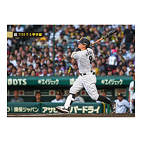 ブロマイド 7/11 T-S No.2　8佐藤（輝明）