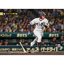 ブロマイド 7/11 T-S No.3　5近本