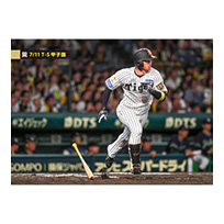 ブロマイド 7/11 T-S No.3　5近本