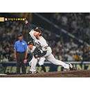 ブロマイド 7/12 T-S No.1　49工藤