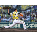 ブロマイド 7/20 T-DB No.1　21大竹