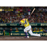 ブロマイド 7/20 T-DB No.4　3大山