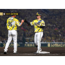 ブロマイド 7/21 T-DB No.3　96筒井コーチ、7中野