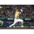 ブロマイド 7/22 T-DB No.2　17伏見