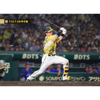 ブロマイド 7/22 T-DB No.2　17伏見