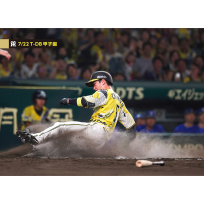 ブロマイド 7/22 T-DB No.4　5近本