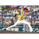 ブロマイド 7/24 T-G No.1　35才木