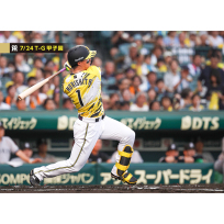ブロマイド 7/24 T-G No.2　1森下
