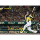 ブロマイド 7/24 T-G No.3　1森下