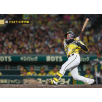 ブロマイド 7/24 T-G No.3　1森下