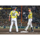 ブロマイド 7/24 T-G No.5　00元山