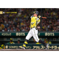 ブロマイド 7/26 T-G No.3　8佐藤（輝明）