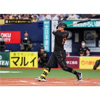 ブロマイド 8/7 T-D No.3　8佐藤（輝明）