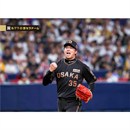 ブロマイド 8/7 T-D No.4　35才木