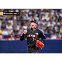 ブロマイド 8/7 T-D No.4　35才木