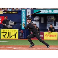 ブロマイド 8/7 T-D No.5　7中野