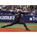 54 木下里都 - 阪神タイガース公式オンラインショップ T-SHOP