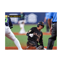 ブロマイド 8/19 T-S No.2　62植田