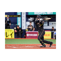 ブロマイド 8/20 T-S No.1　12坂本