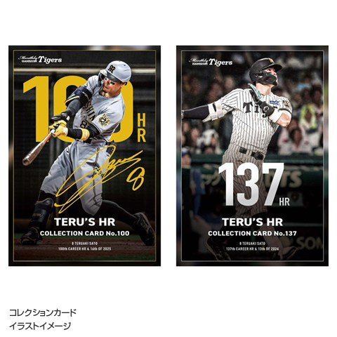 T-SHOP限定】月刊タイガースTERU'S HRコレクションカード☆受注生産品