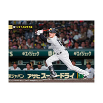 ブロマイド 9/5 T-DB No.2　00元山