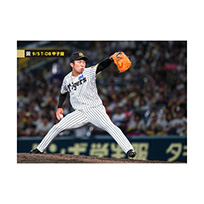 ブロマイド 9/5 T-DB No.4　69石井