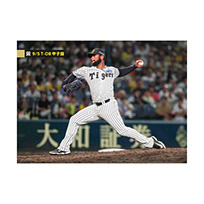 ブロマイド 9/5 T-DB No.5　97セベリーノ