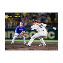 ブロマイド 9/6 T-DB No.1　95神宮