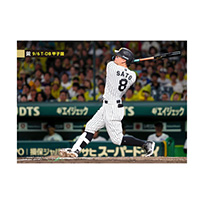 ブロマイド 9/6 T-DB No.2　8佐藤（輝明）
